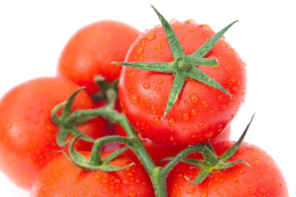 Fond de la tomate avec des gouttes d'eau — Photo