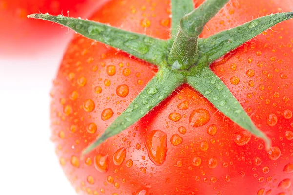 Fond de la tomate avec des gouttes d'eau — Photo