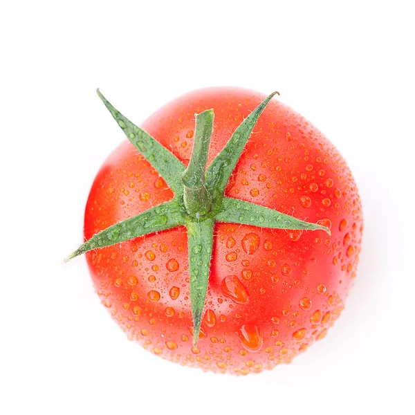 Ντομάτα με σταγόνες νερού που απομονώνονται σε λευκό — Φωτογραφία Αρχείου