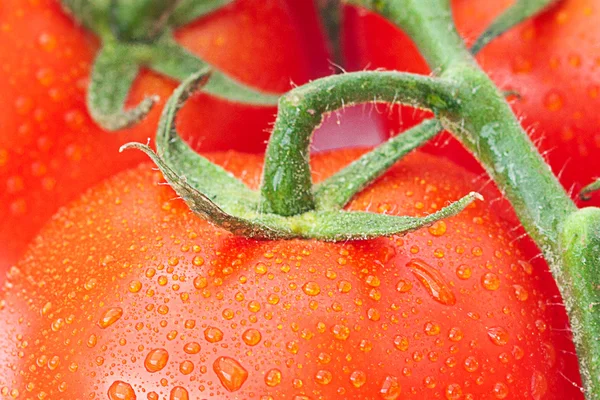 Pozadí rajčete kapkami vody — Stock fotografie