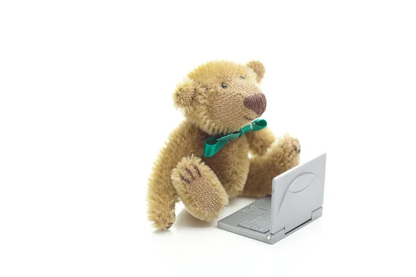 Teddybär und Miniatur-Laptop isoliert auf weiß — Stockfoto