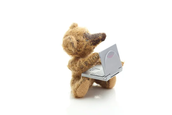 Ursinho de pelúcia e laptop em miniatura isolado no branco — Fotografia de Stock