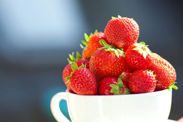 Aardbeien in een kom in het daglicht — Stockfoto