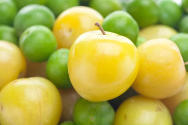 Bakgrunden gröna och gula plommon — Stockfoto
