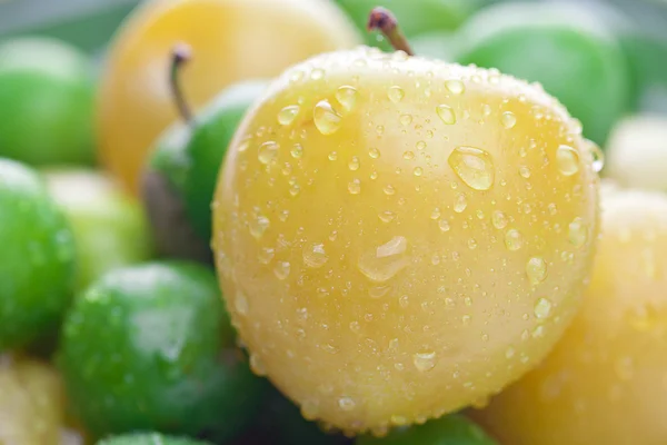 Bakgrunden gröna och gula plommon med vattendroppar — Stockfoto