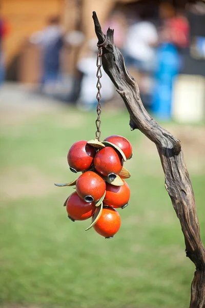Trä bär hänga på en gren — Stockfoto