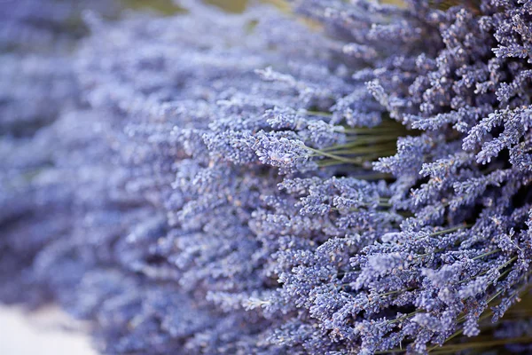 Tło z suszonych kwiatów lawendy na targach — Zdjęcie stockowe