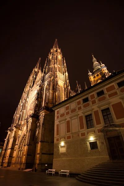 Όμορφη νυκτερινή άποψη της Καθεδρικός Ναός Αγίου Βίτου στην Πράγα — Φωτογραφία Αρχείου