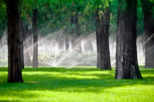 Sprinkler in een gazon met boom — Stockfoto