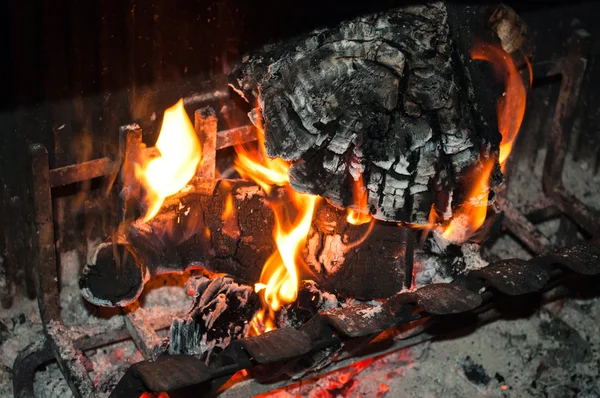 Bränna skogen i öppen spis — Stockfoto