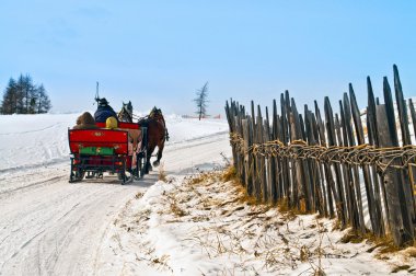 Horse sledge in action in winter landscape clipart