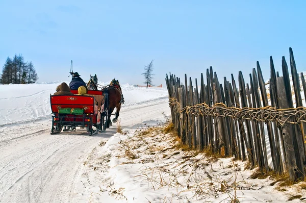 Horse sledge in action in winter landscape — Stock Photo, Image