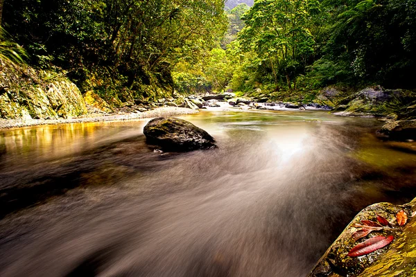 Mountain River * Best for web-bruk – stockfoto