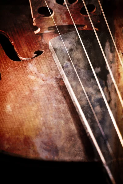 Geige mit wenig Dämmerung — Stockfoto