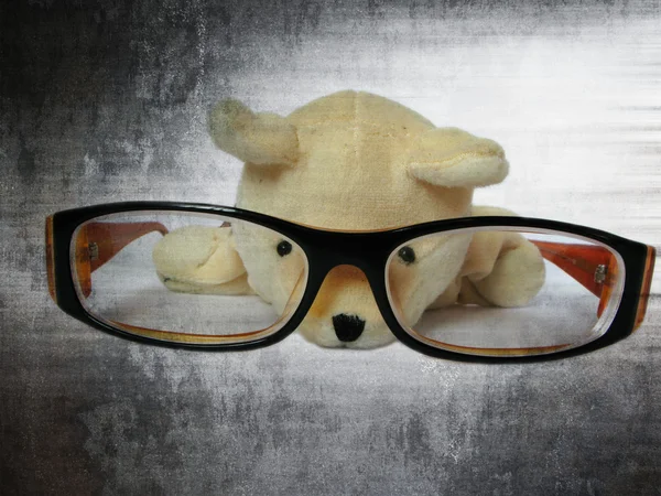 Óculos com cão bonito olhar para o isolamento pencial com fundo branco — Fotografia de Stock