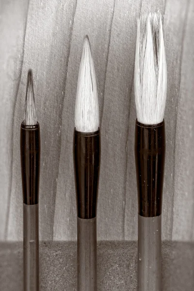Writing brush — Stock Photo, Image
