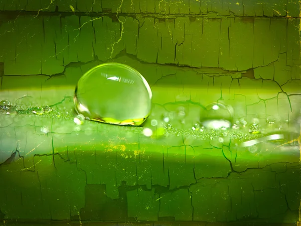 Gotas de água na grama verde — Fotografia de Stock