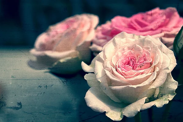 Grande di rose rosa — Foto Stock