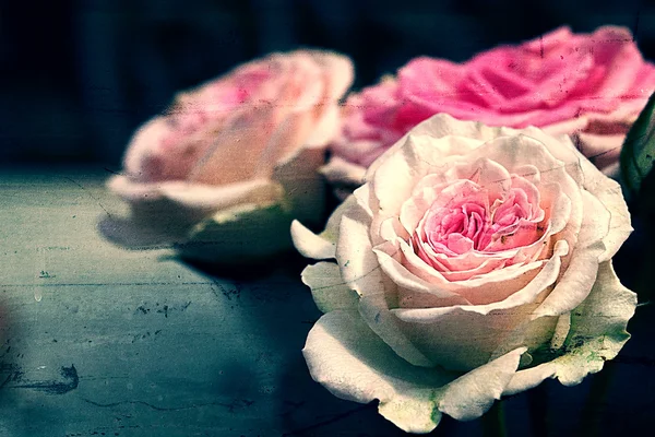 Grande de rosas rosadas —  Fotos de Stock