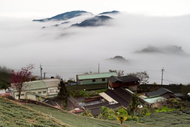 Sunshine Dağı, bulut ve