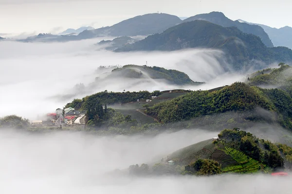 Montanha, nuvem e nevoeiro pela manhã — Fotografia de Stock