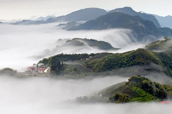 Berg, Wolken und Nebel am Morgen — Stockfoto