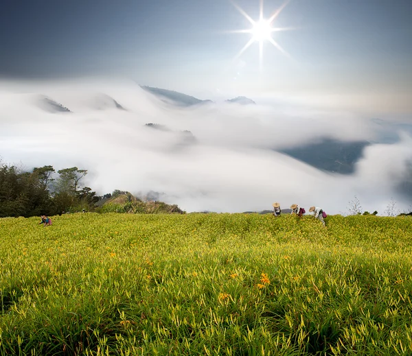 山とカンゾウの花と劇的な雲 — ストック写真