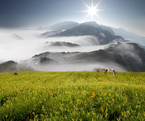 Dramatik bulutlar dağ ve daylily çiçek — Stok fotoğraf