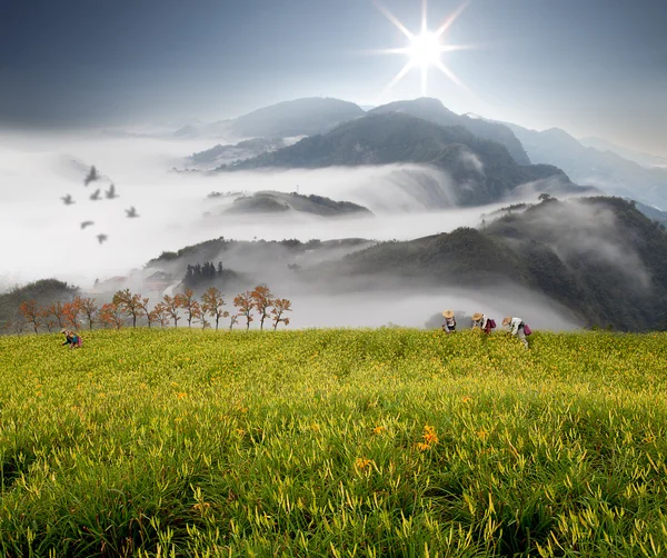 山とカンゾウの花と劇的な雲 — ストック写真