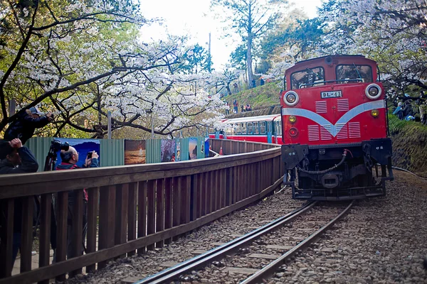 Vieux trains à vapeur sur le chemin de fer — Photo