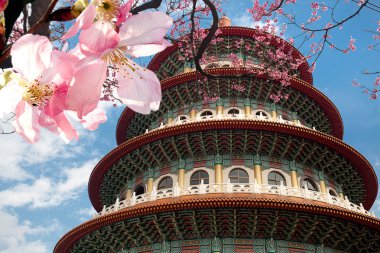Sakura, tapınak ve mavi gökyüzü