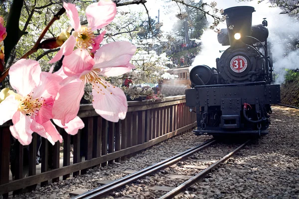 Parní vlak a cherry, Tchaj-wan — Stock fotografie