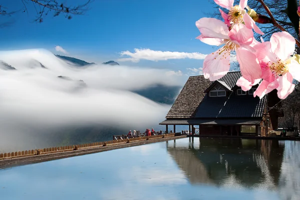 Bel posto per le vacanze con sakura — Foto Stock