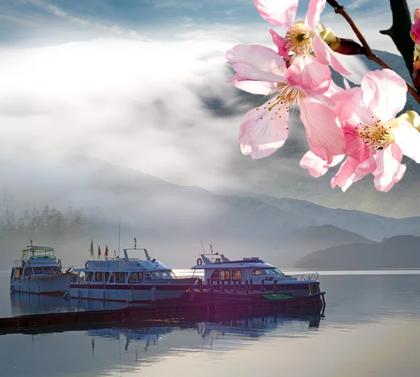 Sakura ile güzel bir tatil yeri — Stok fotoğraf