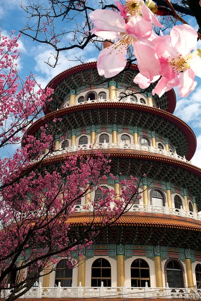 Sakura, chrám a modrá obloha — Stock fotografie