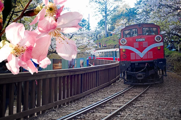 Train à vapeur et cerise, Taiwan — Photo