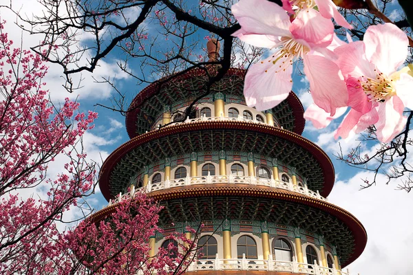 Sakura, tempel och blå himmel — Stockfoto