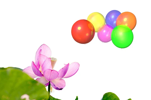 Beautiful balloon with blue sky and flower — Stock Photo, Image