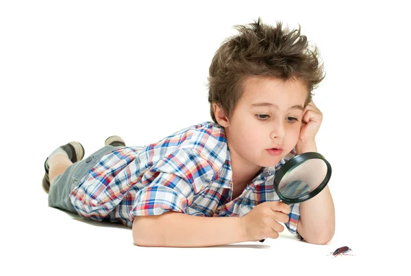 Attentive little boy with weird hair researching the bug using m — Stock Photo, Image