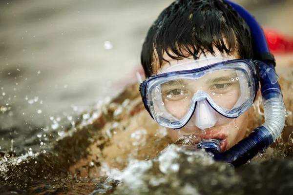 stock image Diving