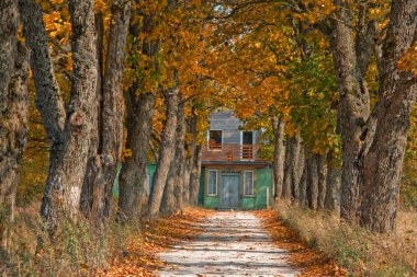 Autumn road leading to house clipart