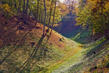 ormanlık tepelerde viljandi