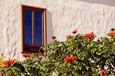 Window view of Fountain Tree clipart