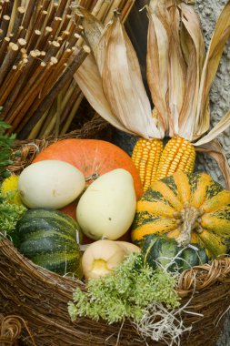 Pumpkins basket clipart