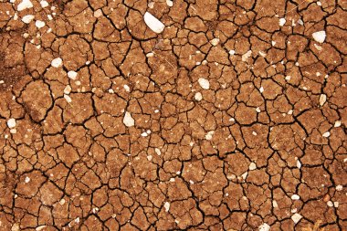 Cracked earth background clipart