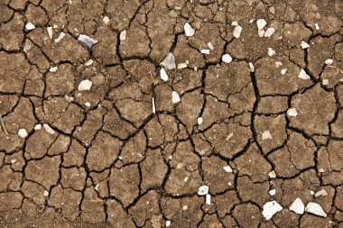 Parched earth background clipart