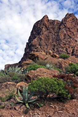 gran canaria manzara