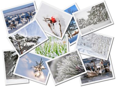 Winter postcards clipart