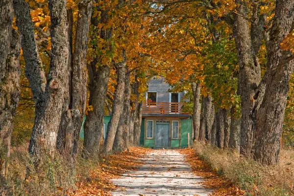 stock image Autumn road leading to house