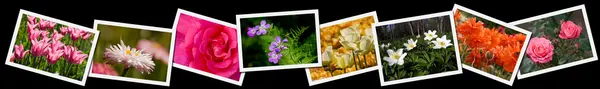 stock image Flower postcards